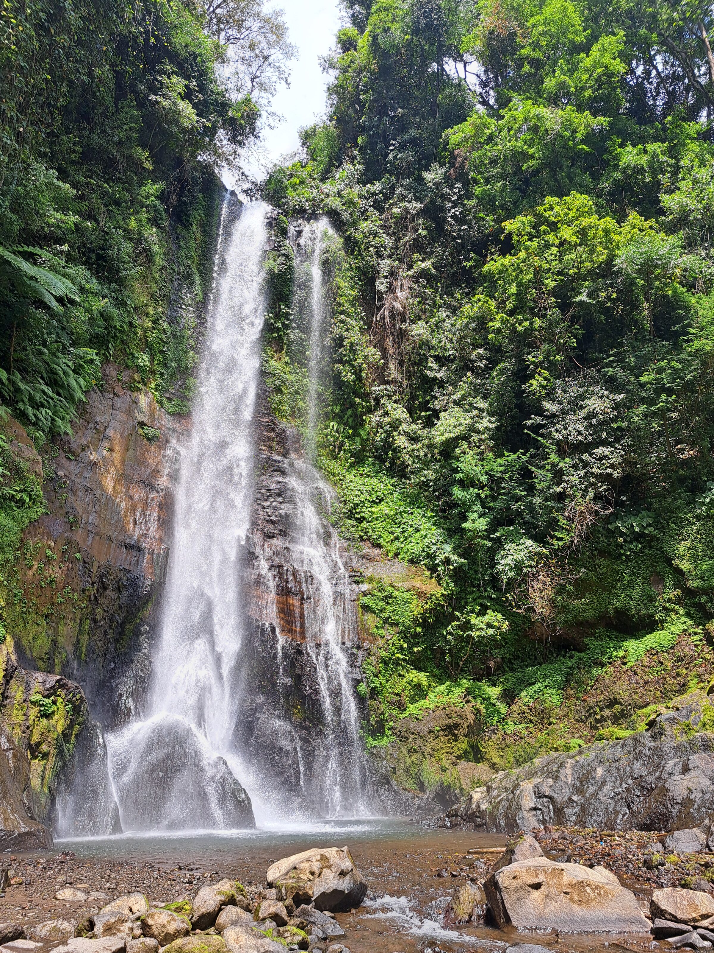 Gitgit-waterval: natuur en geschiedenis opnieuw ontdekt